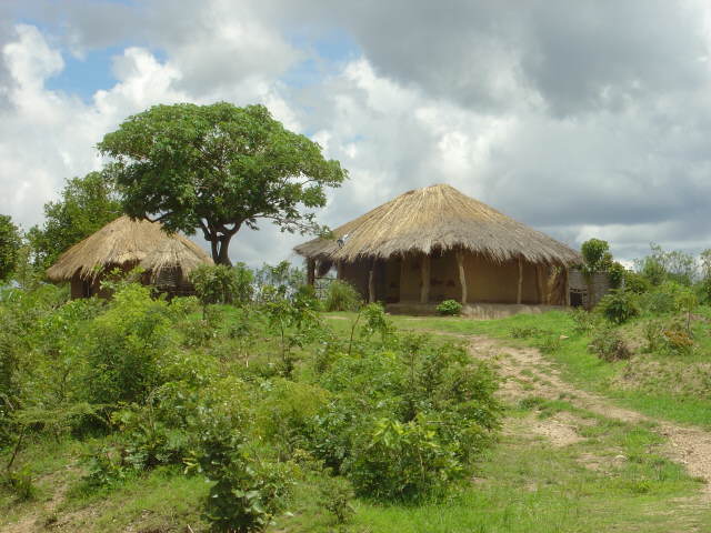 .. Dorf in MALAWI